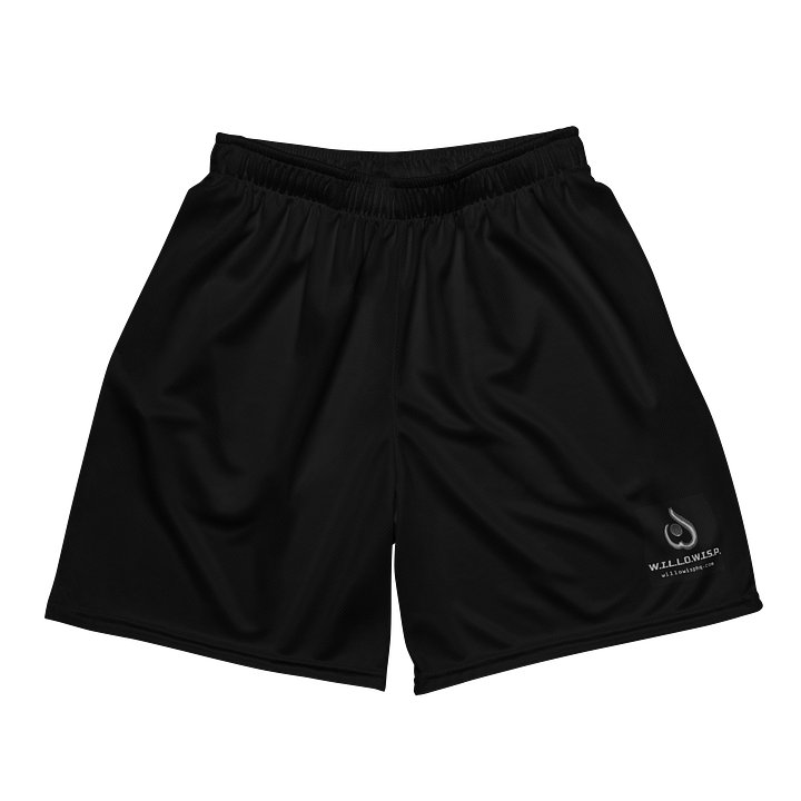WILLOWISP Grey Sports Shorts product image (2)