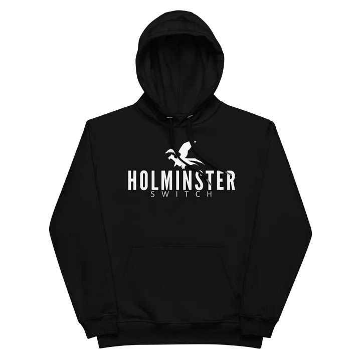 Holmister switch hoodie - premium product image (2)
