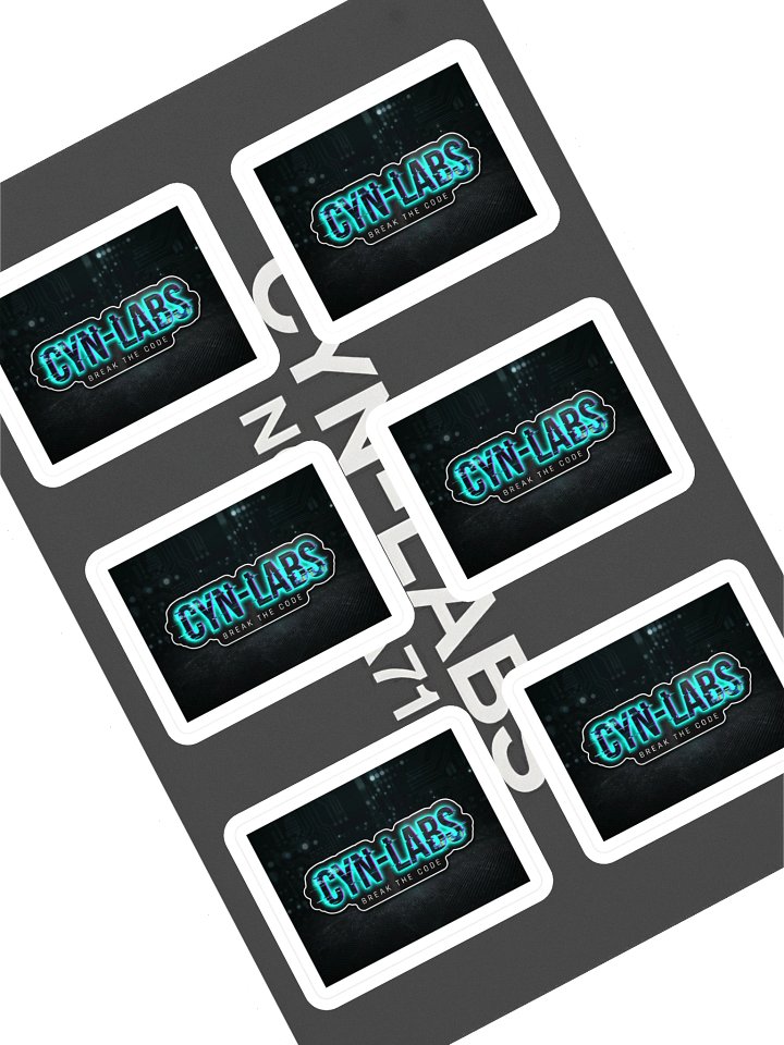 CYN-LABS // Break The Code Sticker Sheet product image (1)