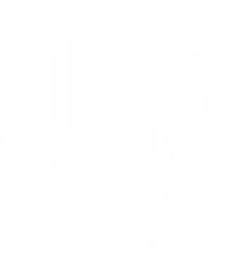 Dynamic Punch