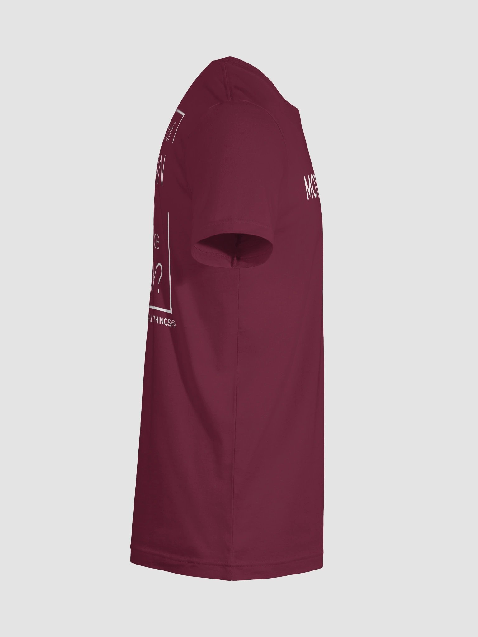 MOTIVATED Human - Fall Shirt product image (127)