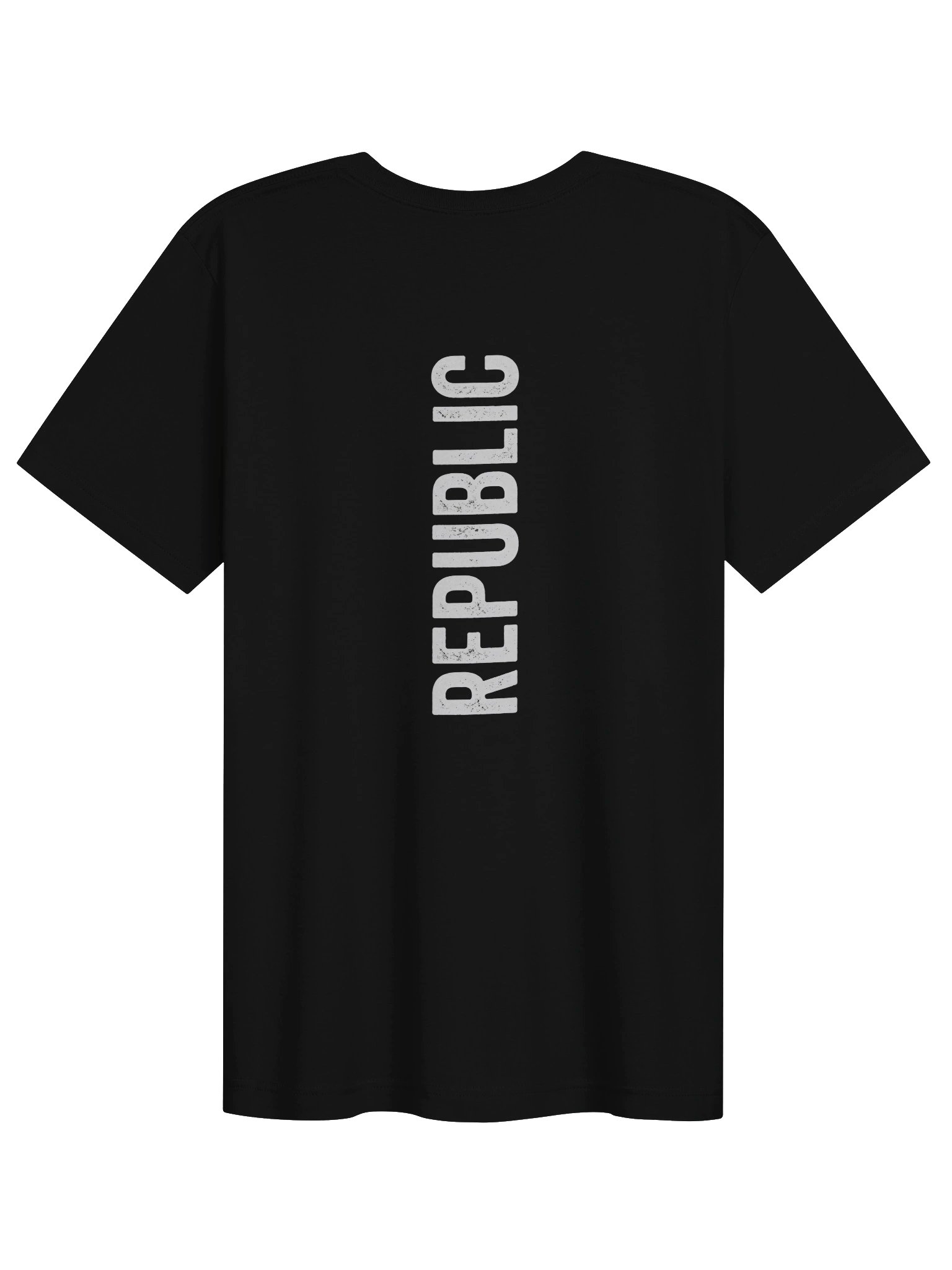 The Vintage Pelican Republic Tee product image (2)