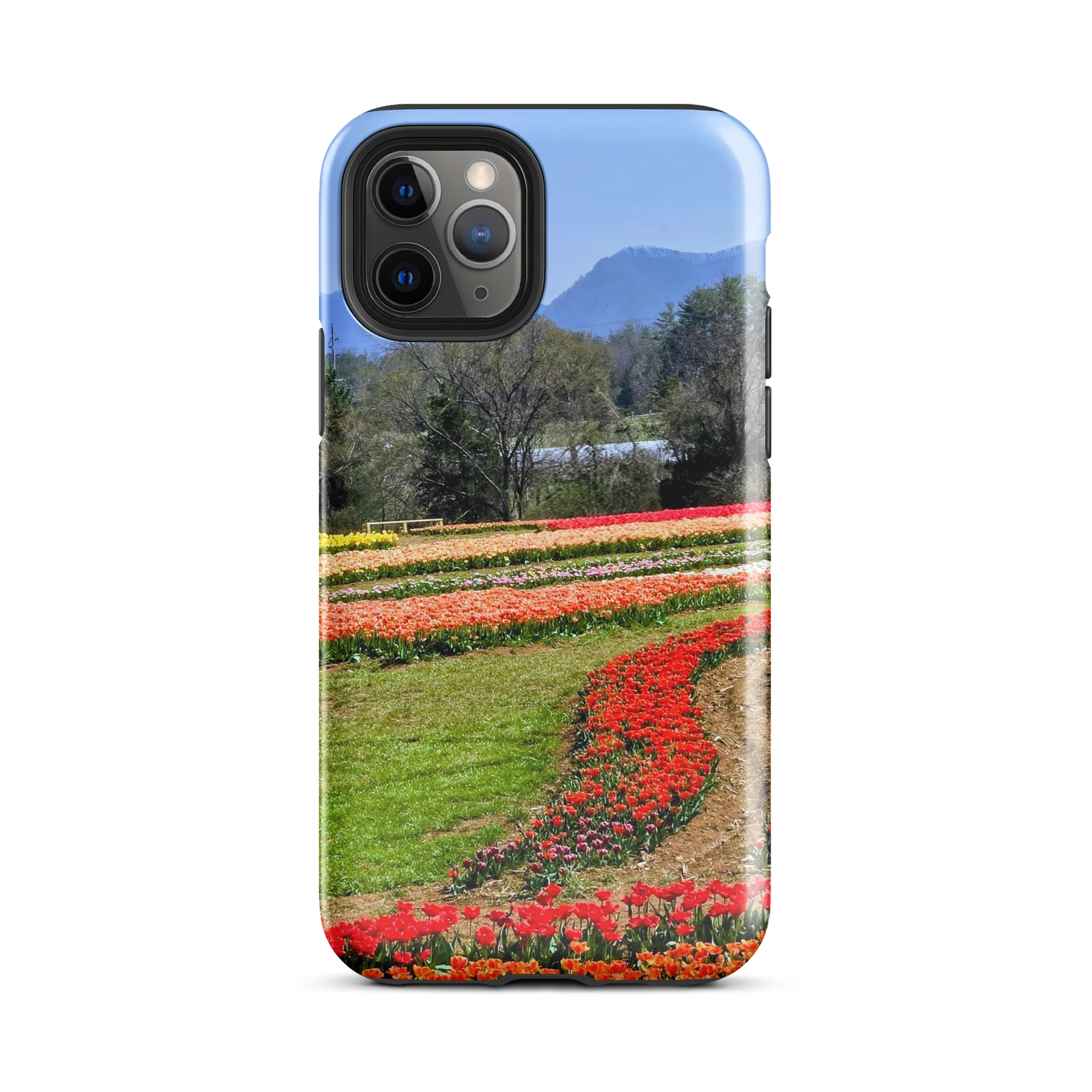 Vibrant Floral Symphony iPhone® Tough Case product image (29)