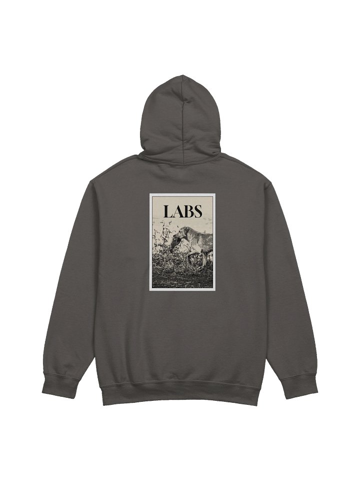 LABS Hoodie product image (1)