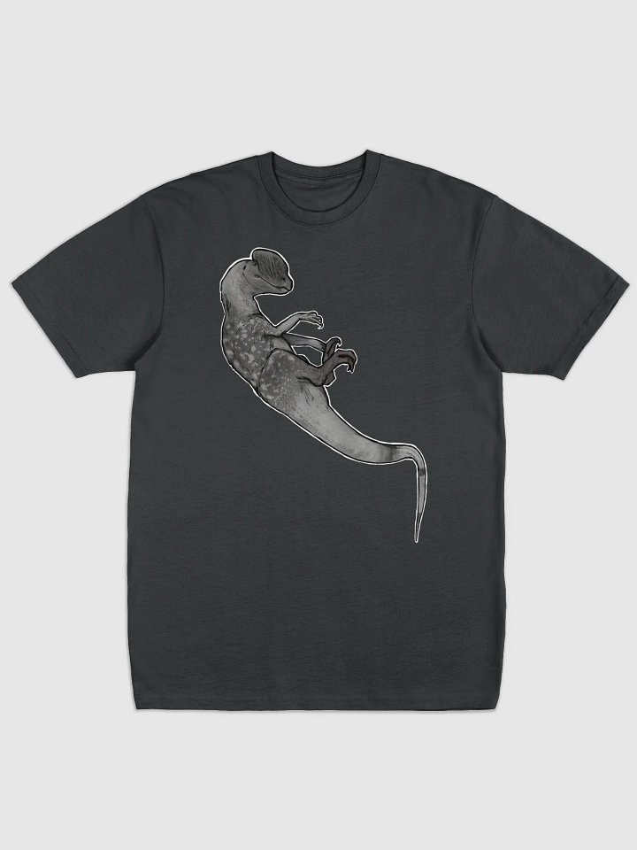 Dilo shirt product image (1)