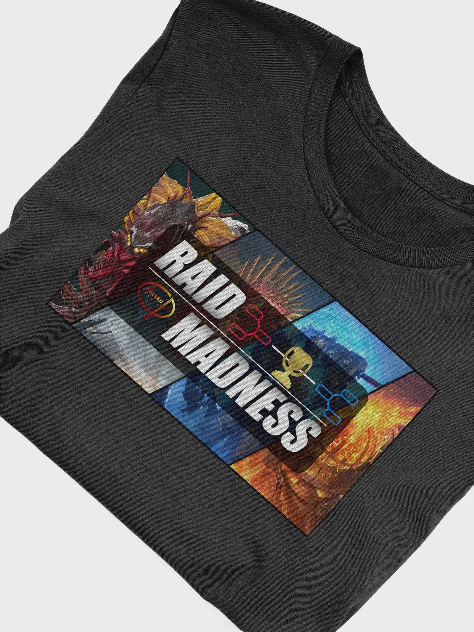 RAID MADNESS 2024 Tee product image (5)