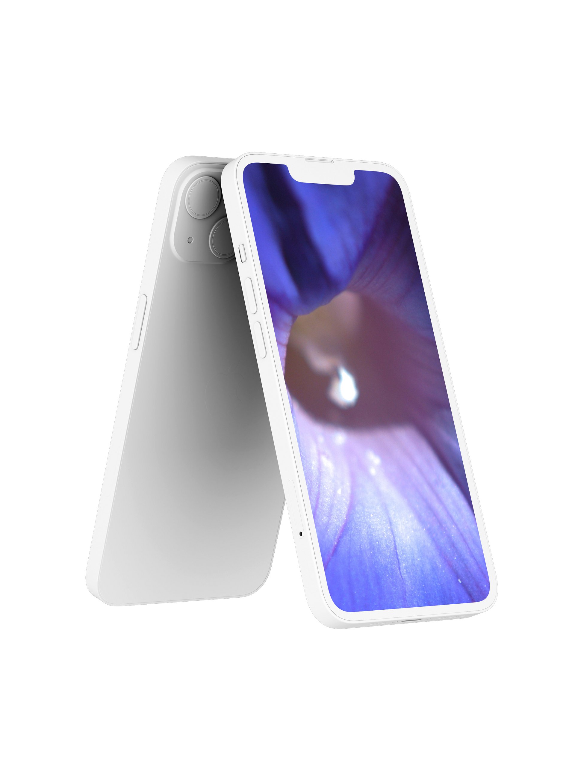 Morning Glory Digital Wallpaper Set product image (2)