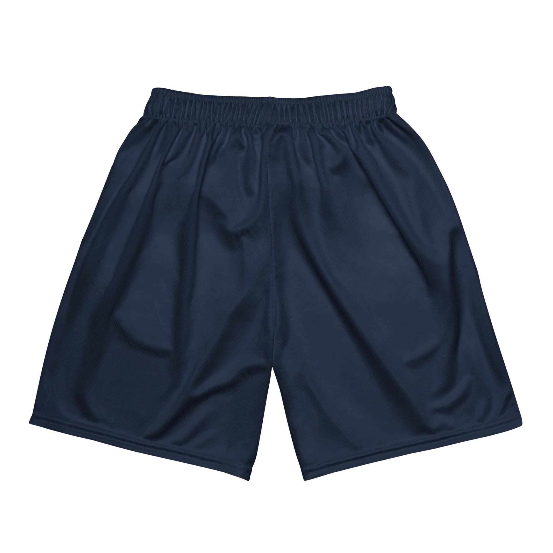 Main Logo Mesh Shorts (Navy) product image (5)