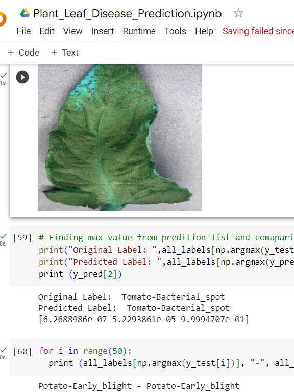 Plant leaf Disease detection Final Year Project with Streamlit App product image (3)