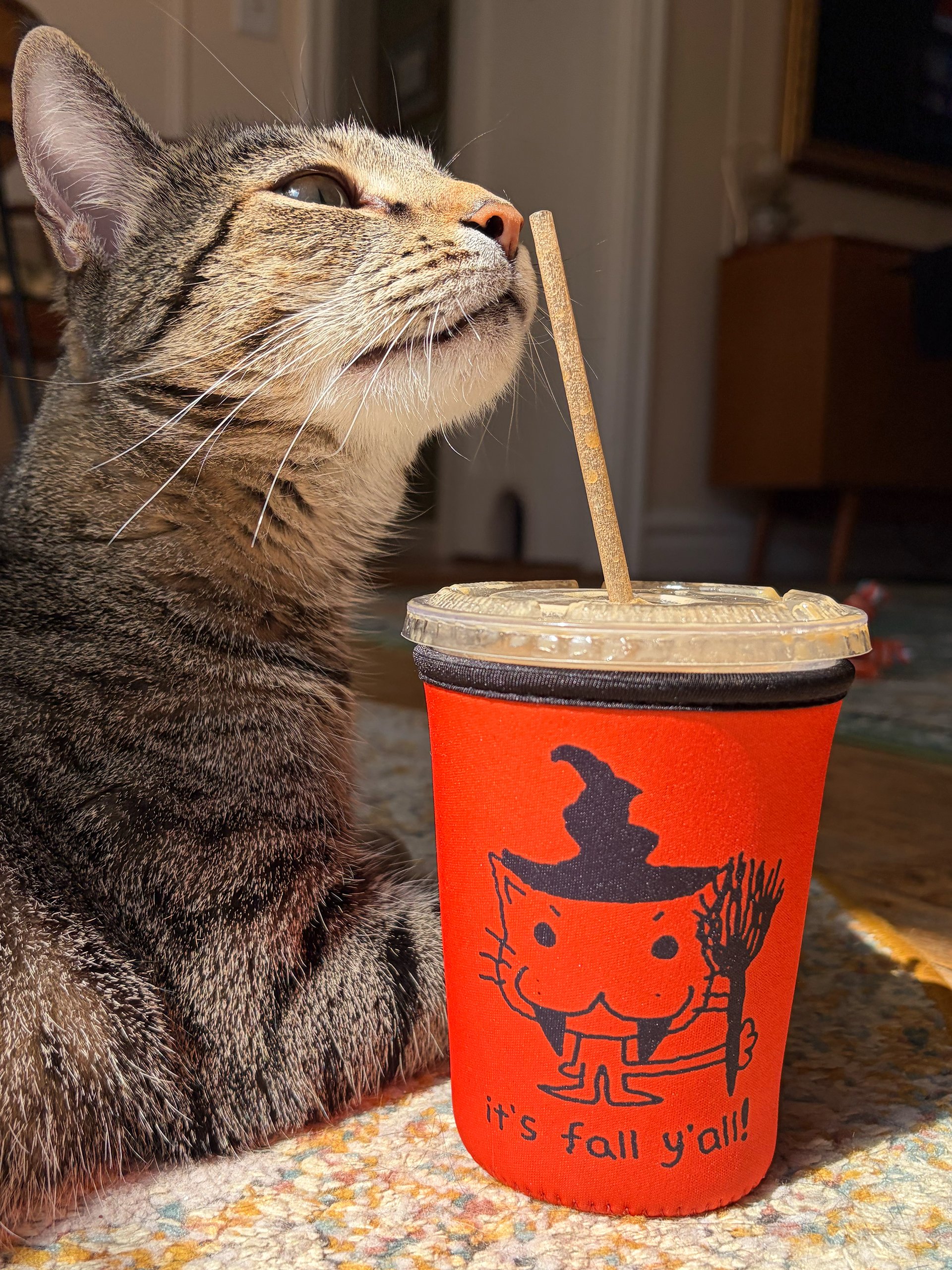 IT'S FALL Y'ALL KOOZIE!!! 🍂🍁🎃🐈‍⬛ product image (3)
