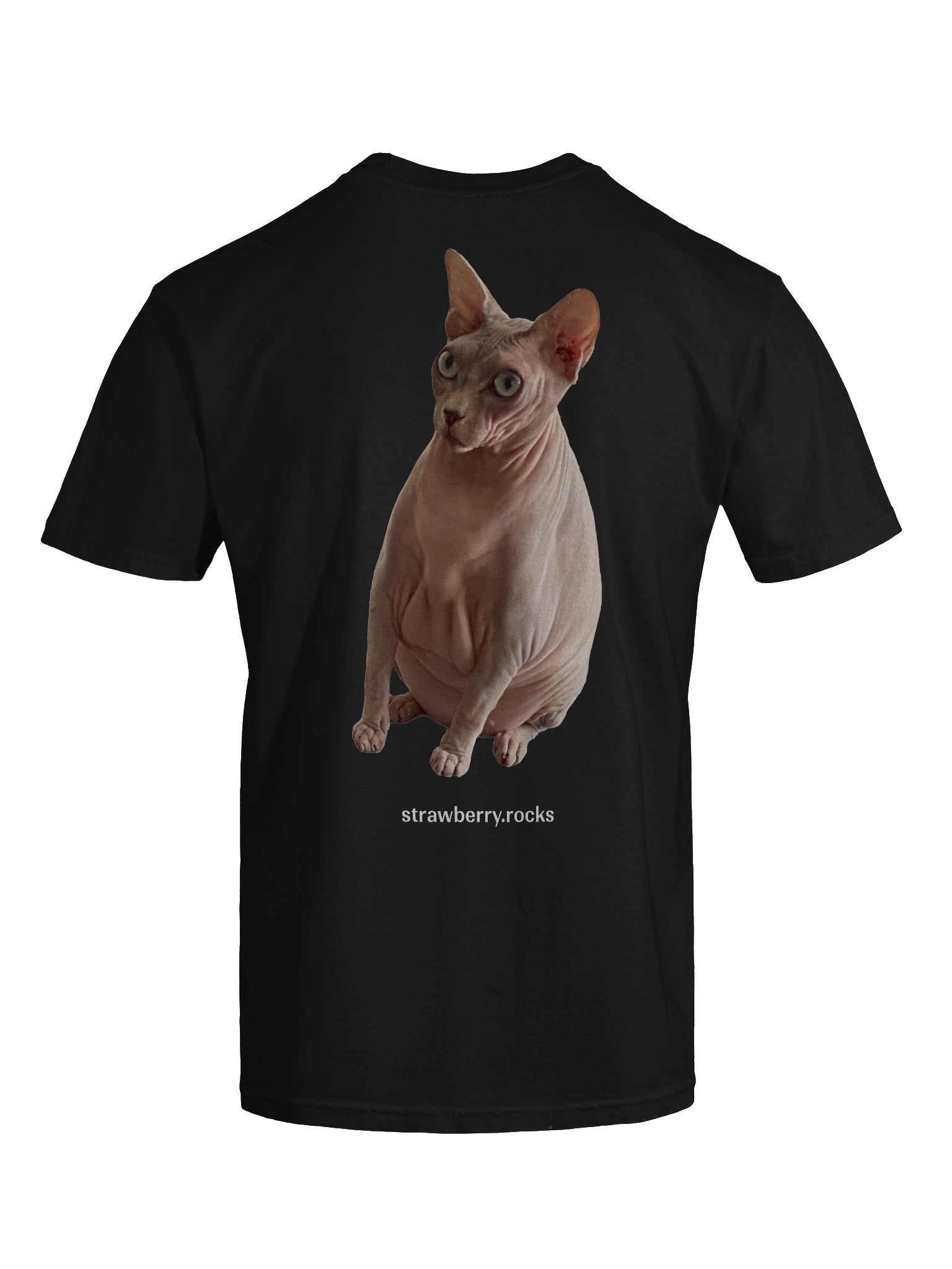 Thiago's cat judging your code product image (9)
