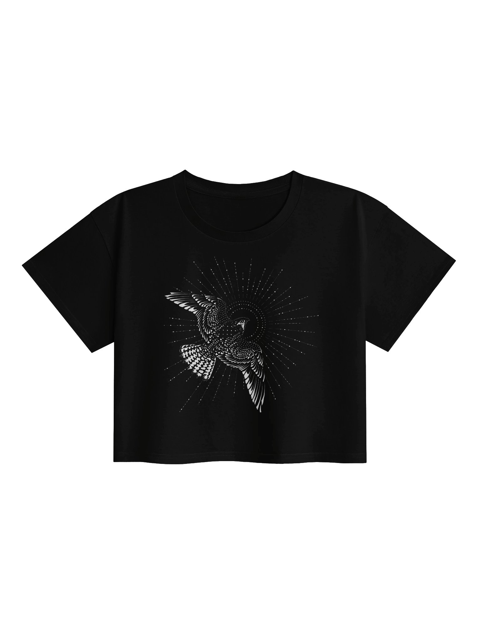 Radiant Falcon Crop Top product image (1)