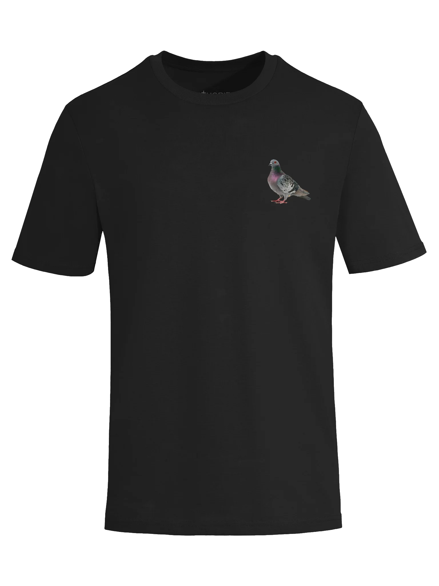 Protect the Pigeons T-Shirt product image (4)
