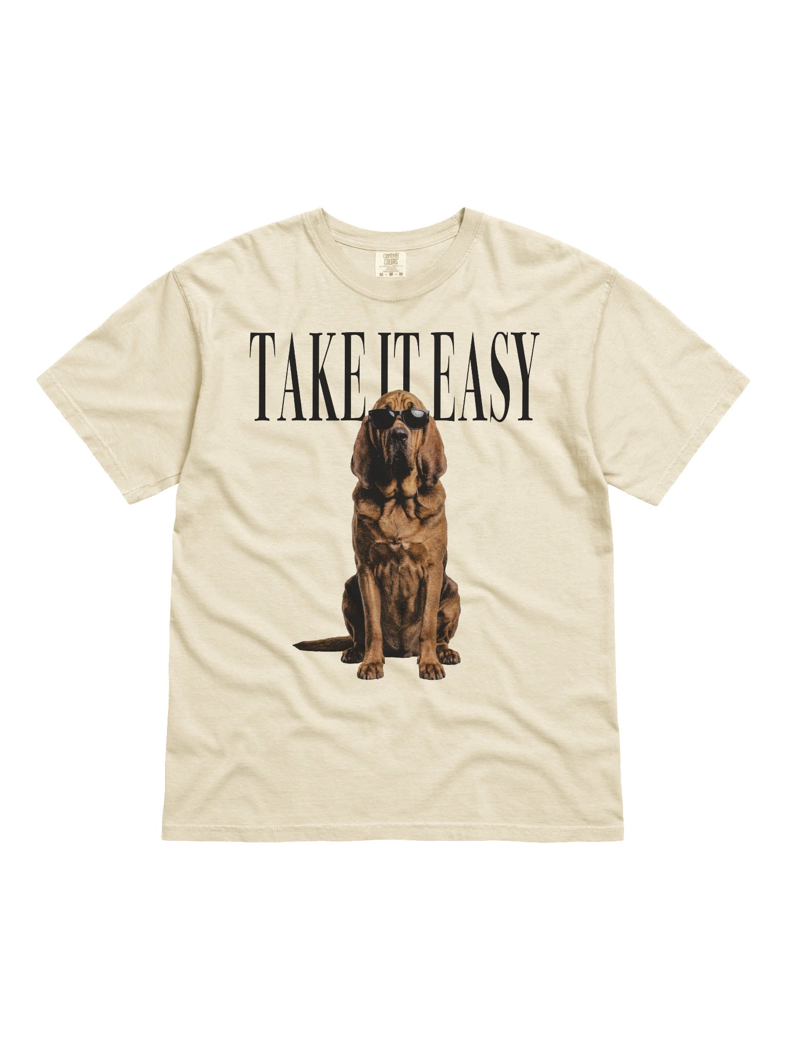 Take It Easy '90s Pop Vintage-Style T-Shirt for Bloodhound Owners product image (4)
