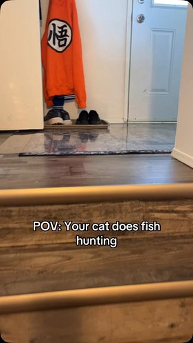 Bro loves fish hunting 🐱🐟 #foryou #fyp #cats #catsoftiktok #fish