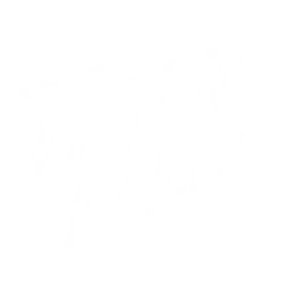 Trail Talk