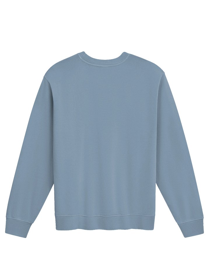 < CHALANT 3 variant #182a2f pigment dyed crewneck product image (4)