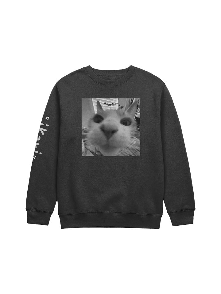 turtle cat — sweater product image (1)