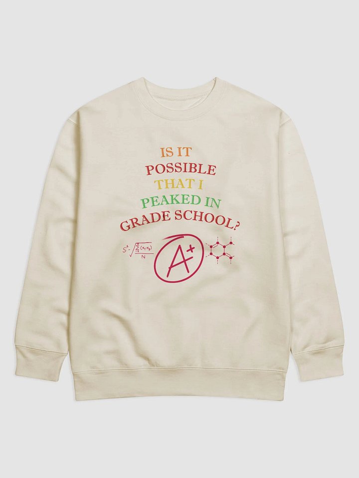 Is It Possible That I Peaked In Grade School? Sweatshirt product image (6)