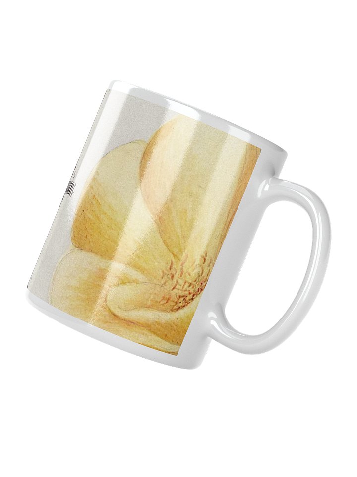 Botanical Illustration Mug product image (2)