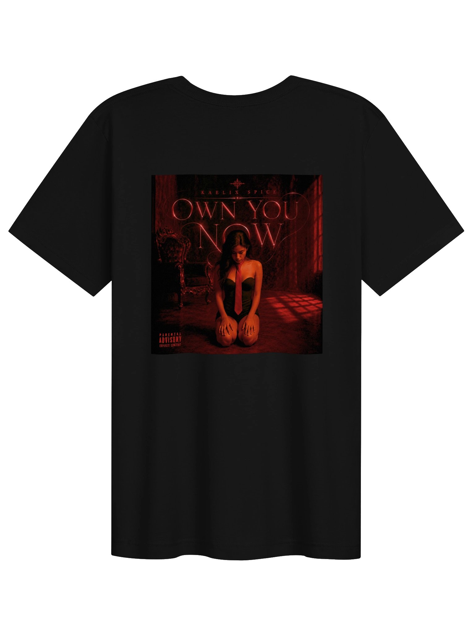 OWN YOU NOW COVER UNISEX SOFT TEE product image (2)