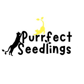 Purrfect Seedlings