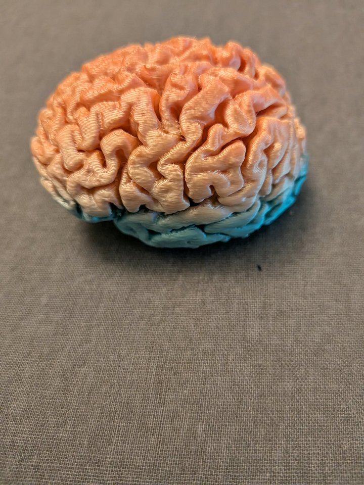 Autism Puzzle Brain product image (1)