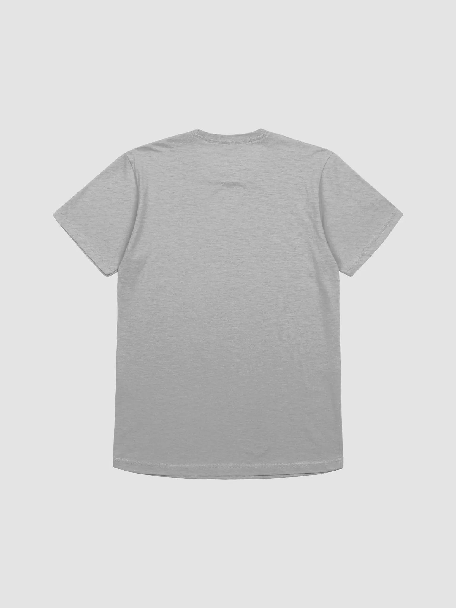 MORALS Gray T-shirt product image (2)