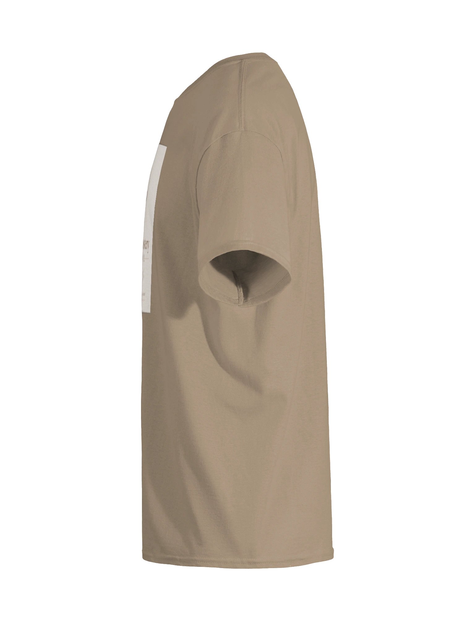 The Mastery Standard T-Shirt product image (41)