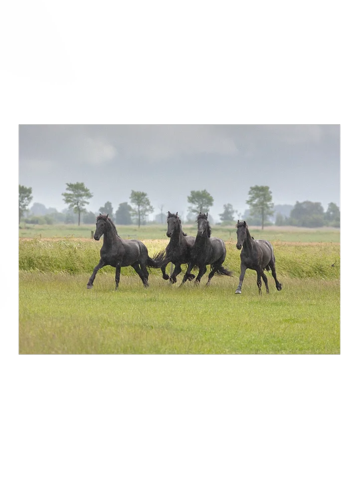 Wûnder, Willem, Wytse W & Wytse product image (1)