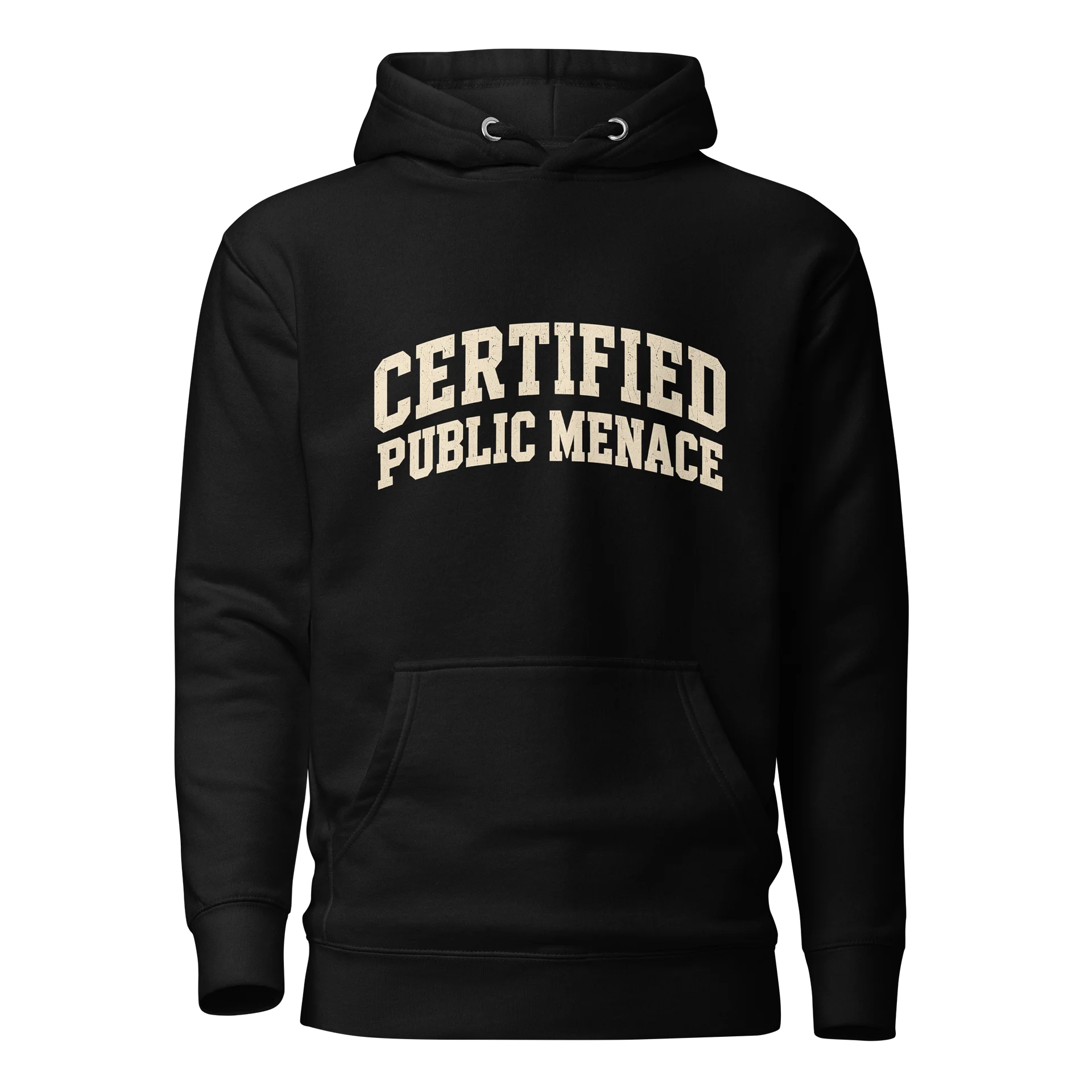 Certified Public Menace Hoodie product image (2)