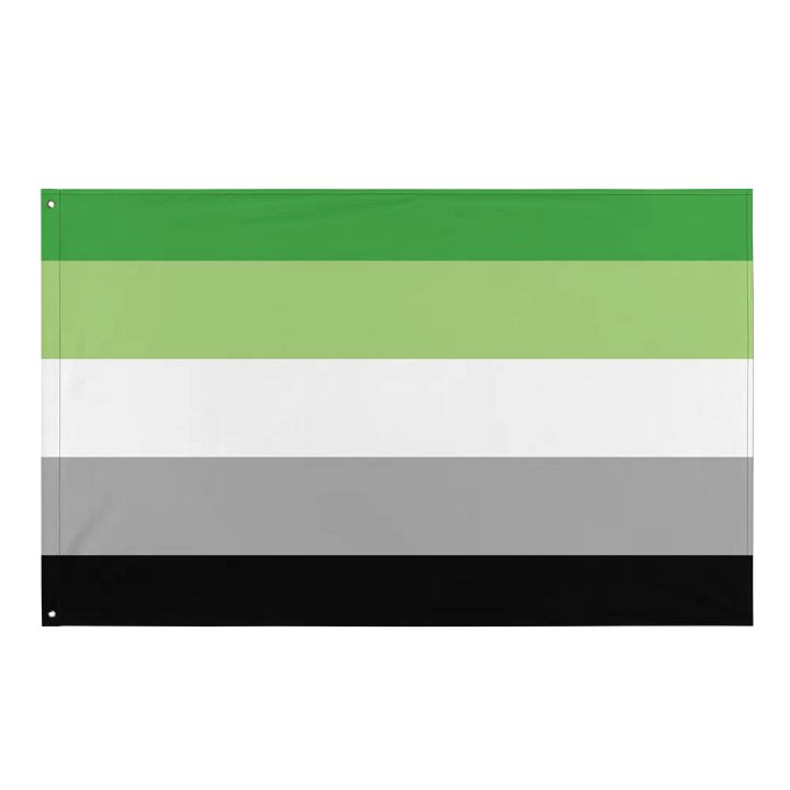 Aromantic Flag product image (1)