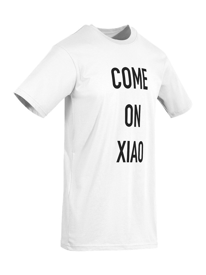 XIAO GUODONG (CHINA) product image (2)