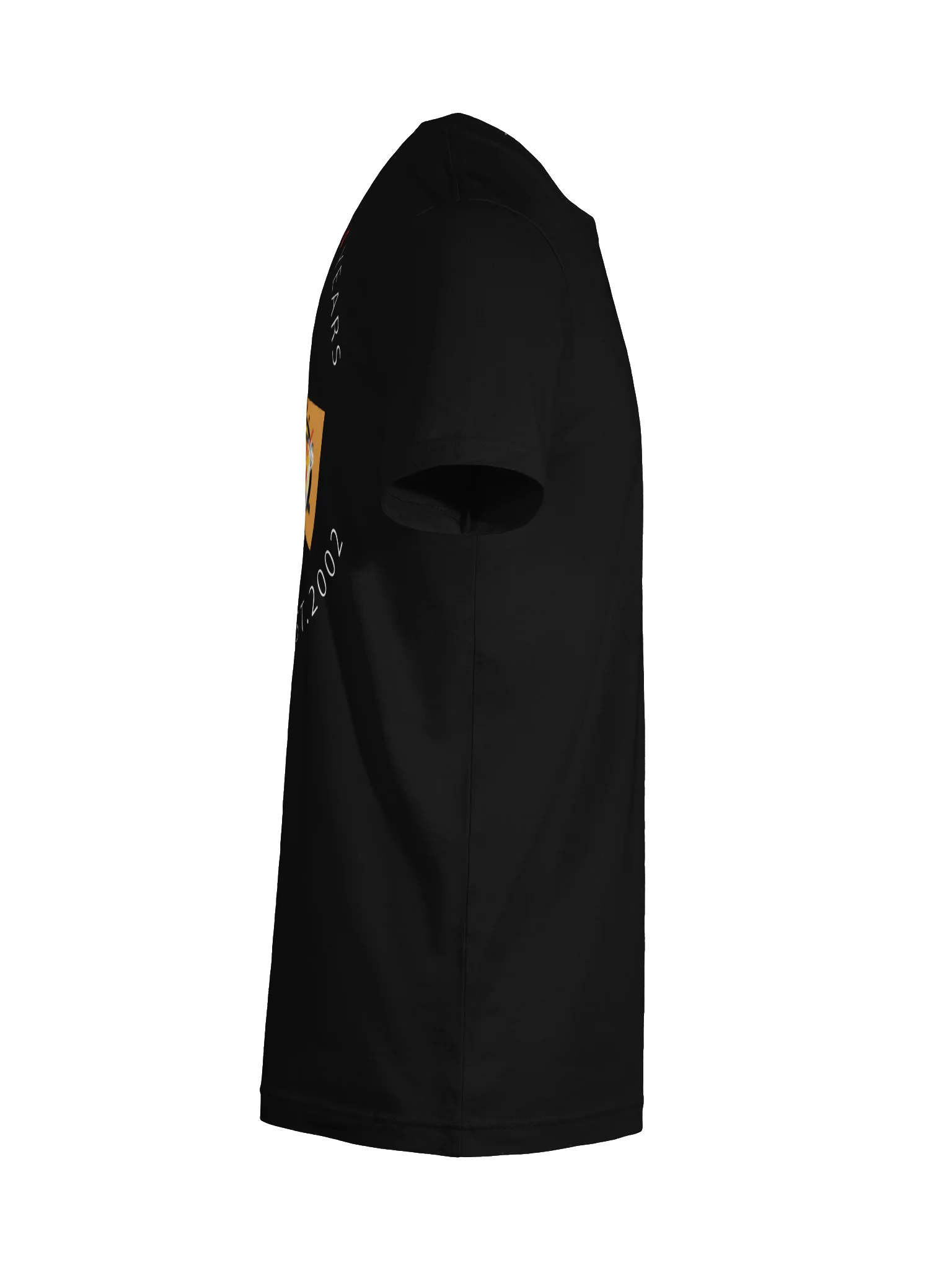 Celebrating 24 Years! - Skelly Back product image (10)