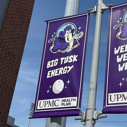Hey! We had #BigTuskEnergy in Utah way before you did, @lastweektonight & @erieseawolves.