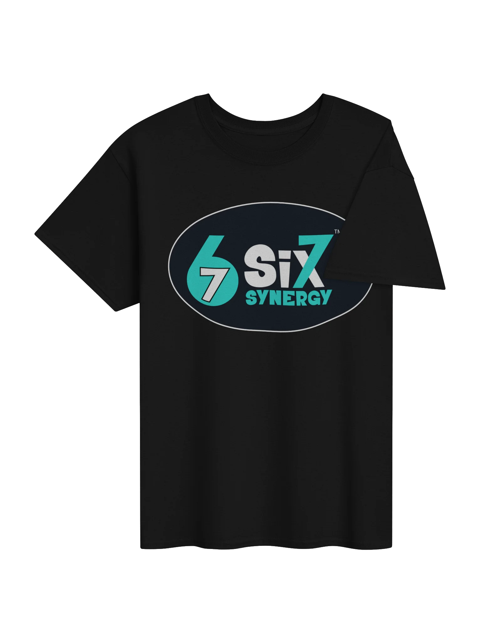 Adult T-Shirt - Black, Main Logo product image (4)