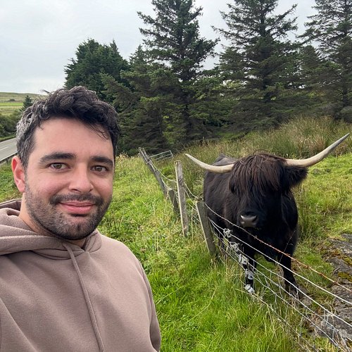 Mi amiguita peluda 🐮