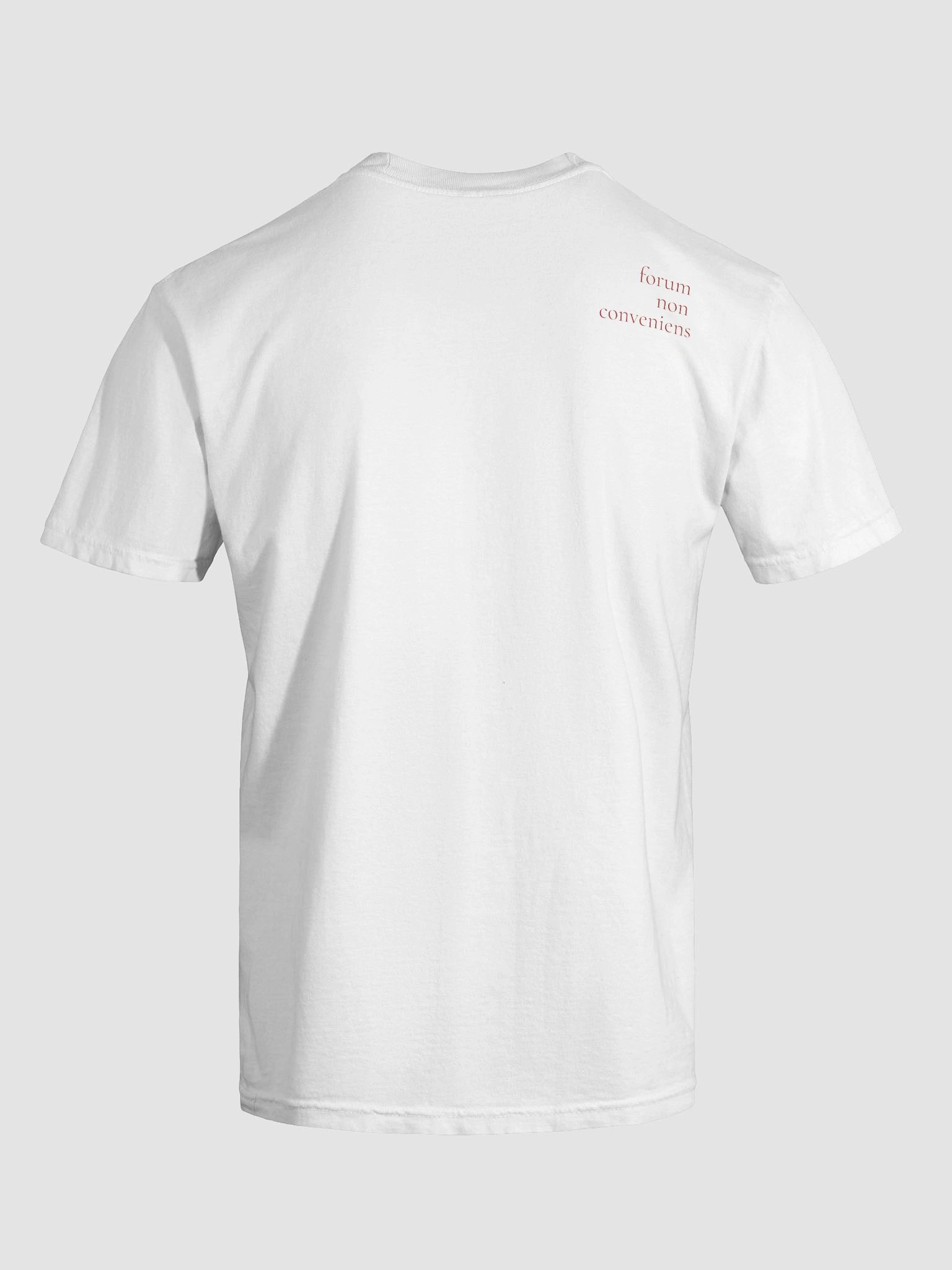 issue preclusion product image (6)