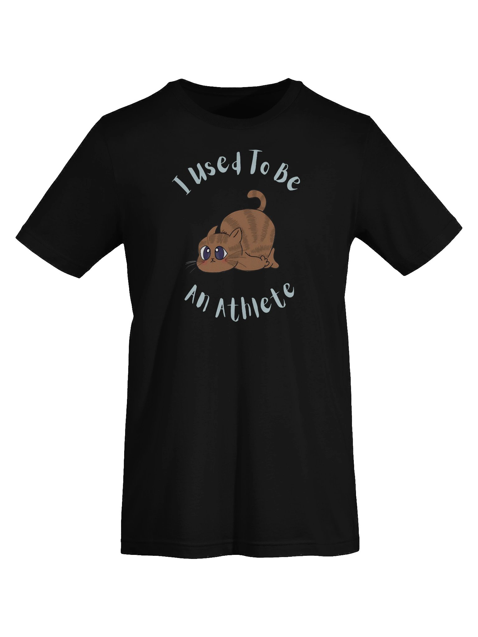 Chubby Cat Confession Tee product image (7)