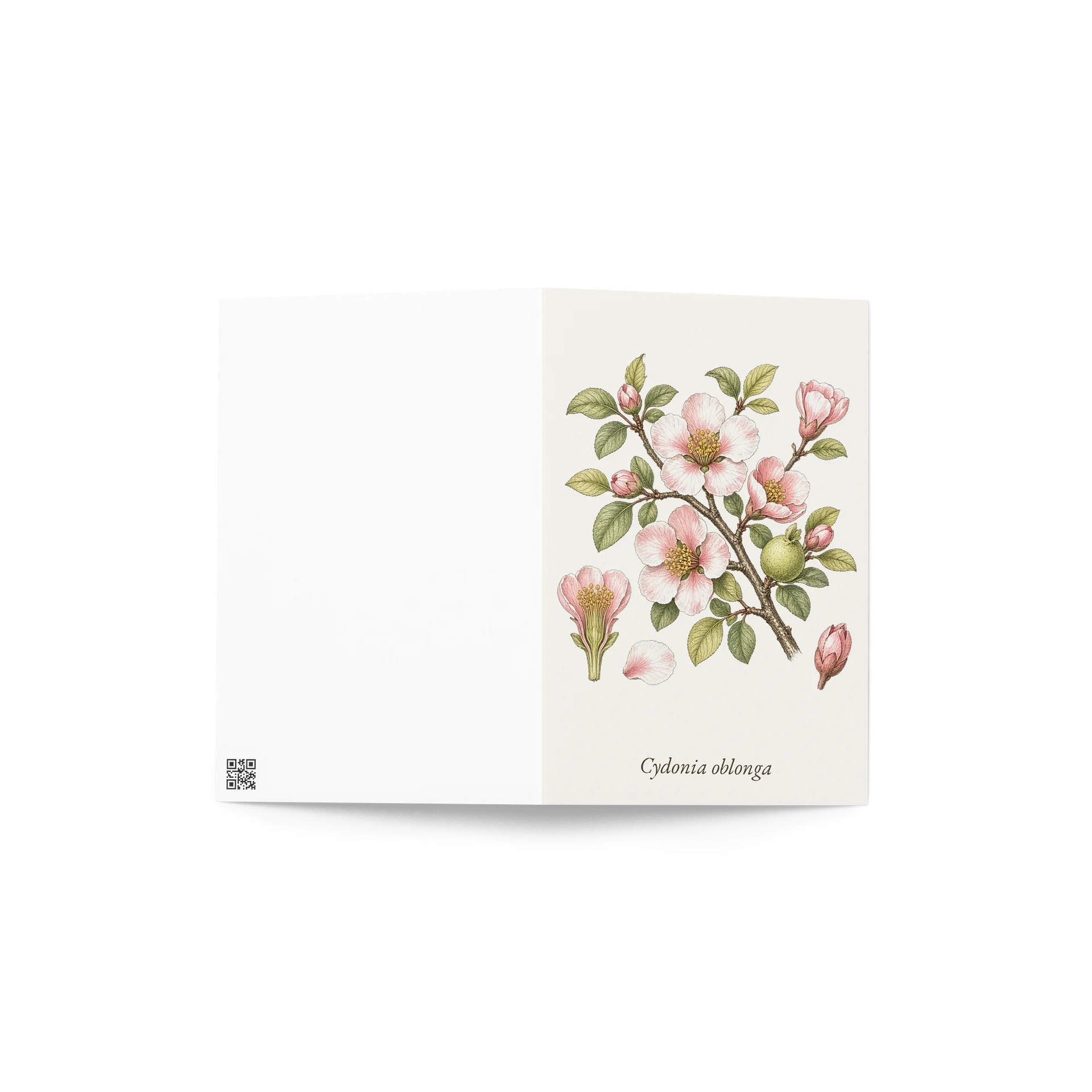 Vintage Botanical Quince Blossom Greeting Card product image (4)