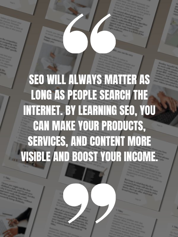 MRR/PLR In-Dept SEO eBook product image (2)