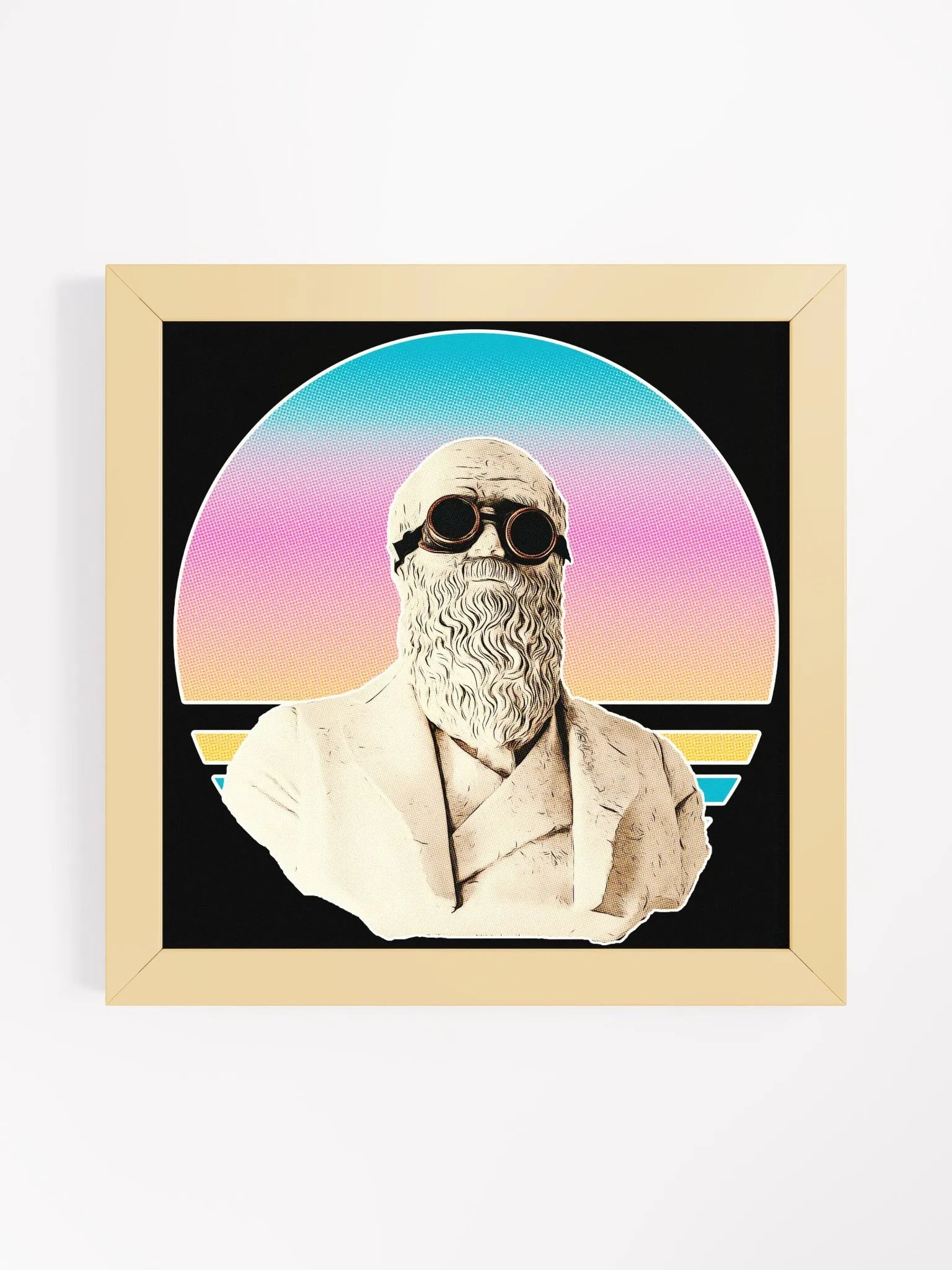 Darwinism Framed Poster product image (3)