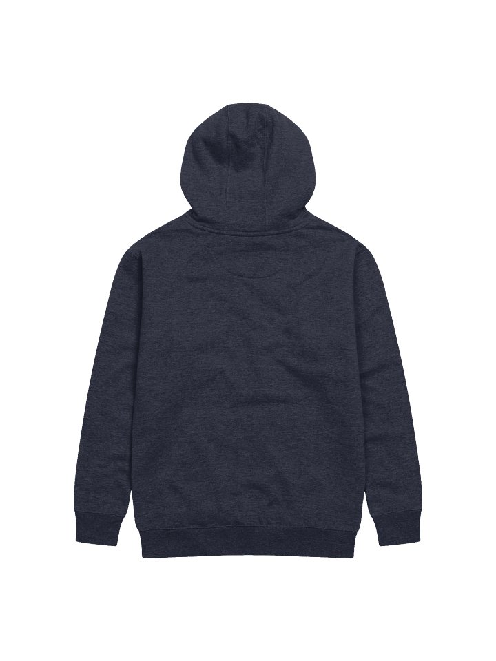 AP/CP Hoodie product image (10)