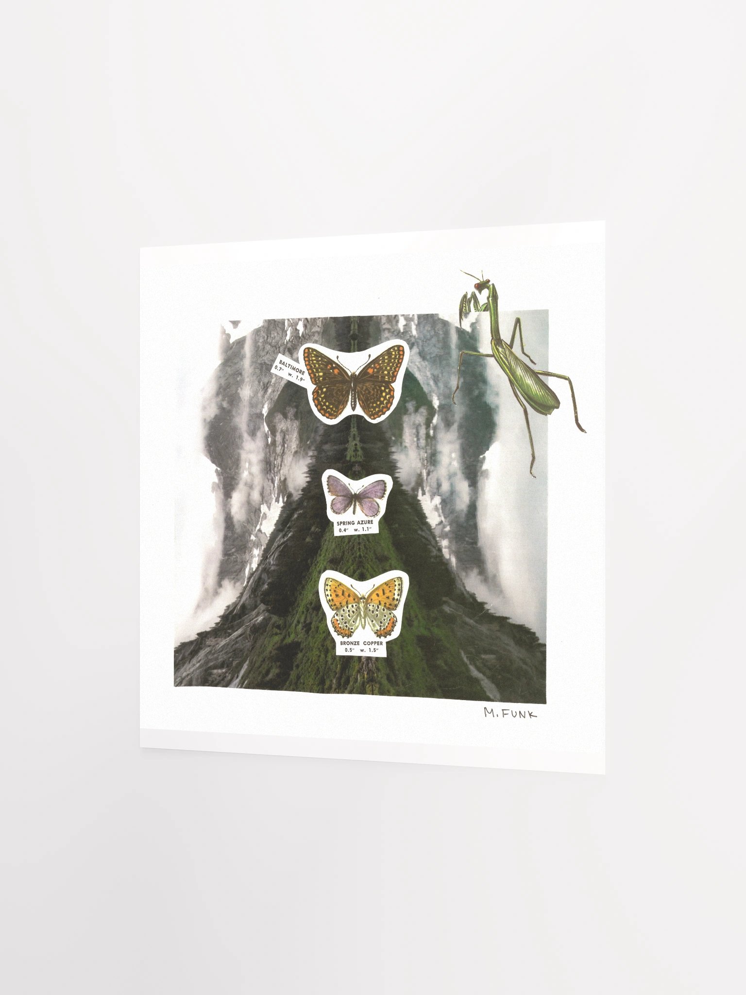 Symmetry product image (2)