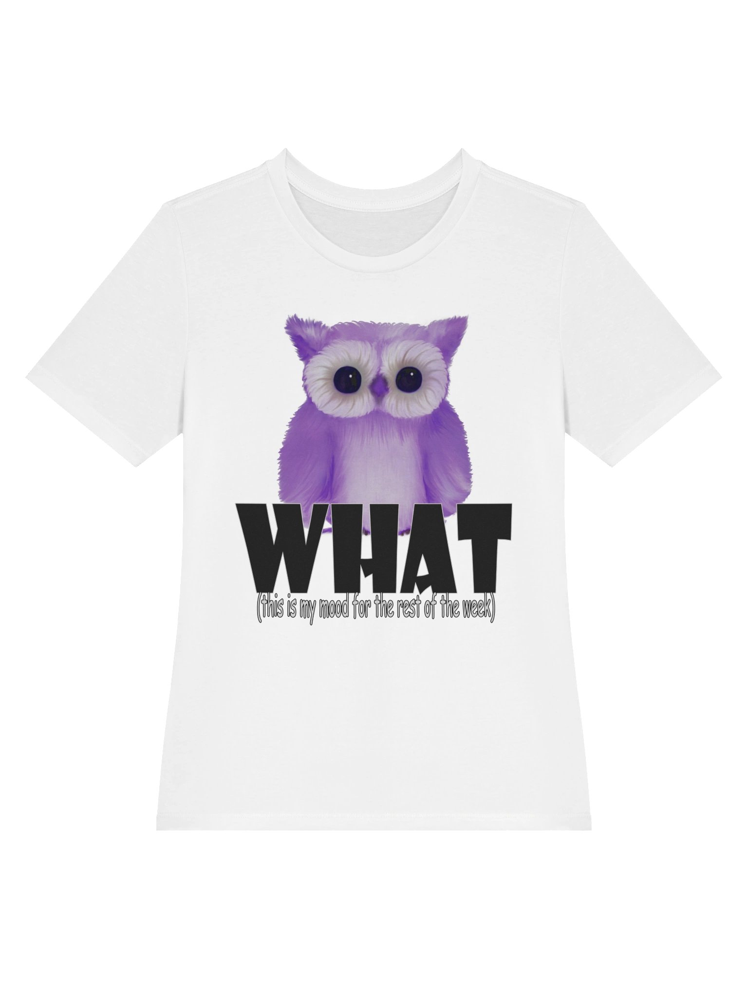 Owl "WHAT" T-Shirt. Women's Bella+Canvas Supersoft Relaxed-fit T-Shirt product image (2)