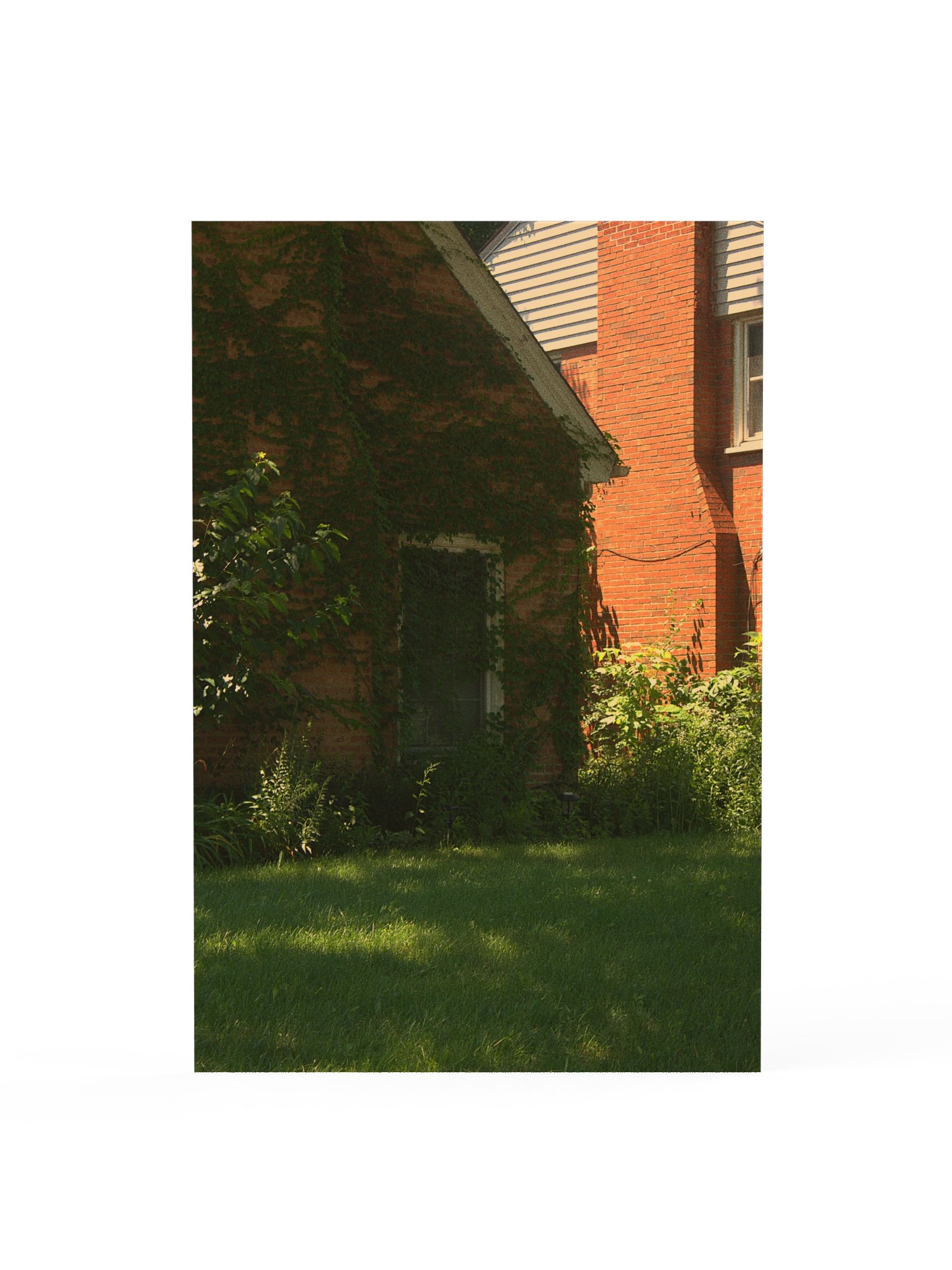 overgrown product image (1)