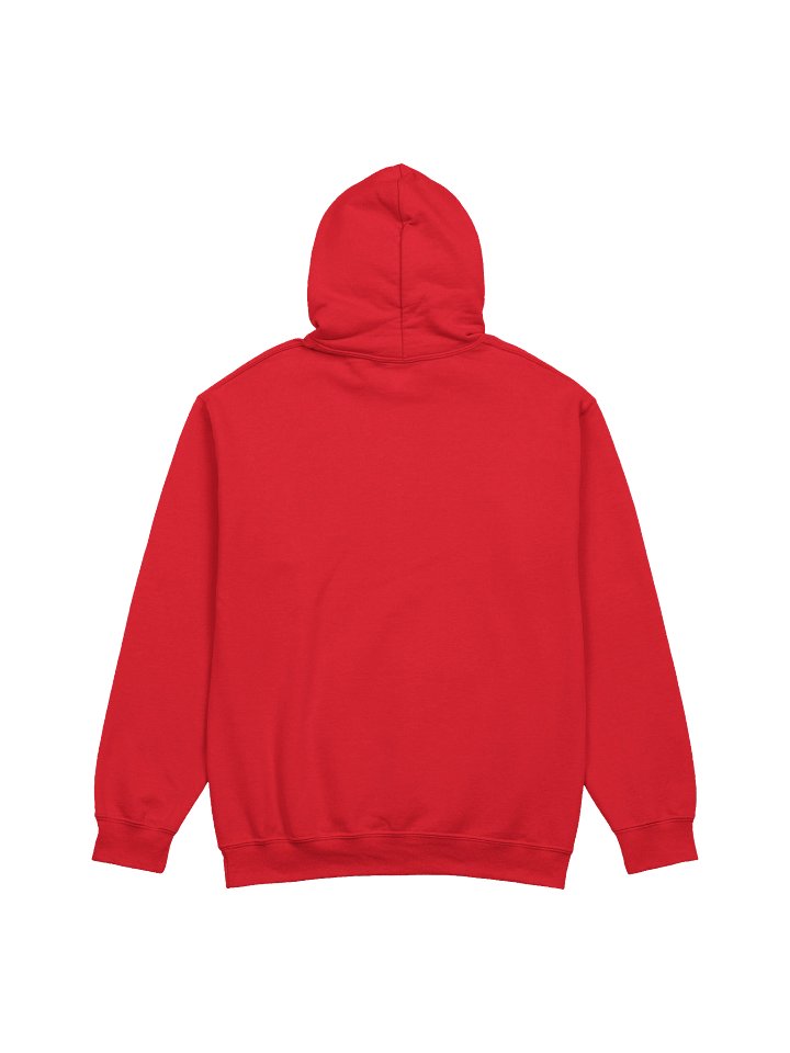 THE SOUTH GOT SOMETHIN' TO SAY — HOODIE product image (26)
