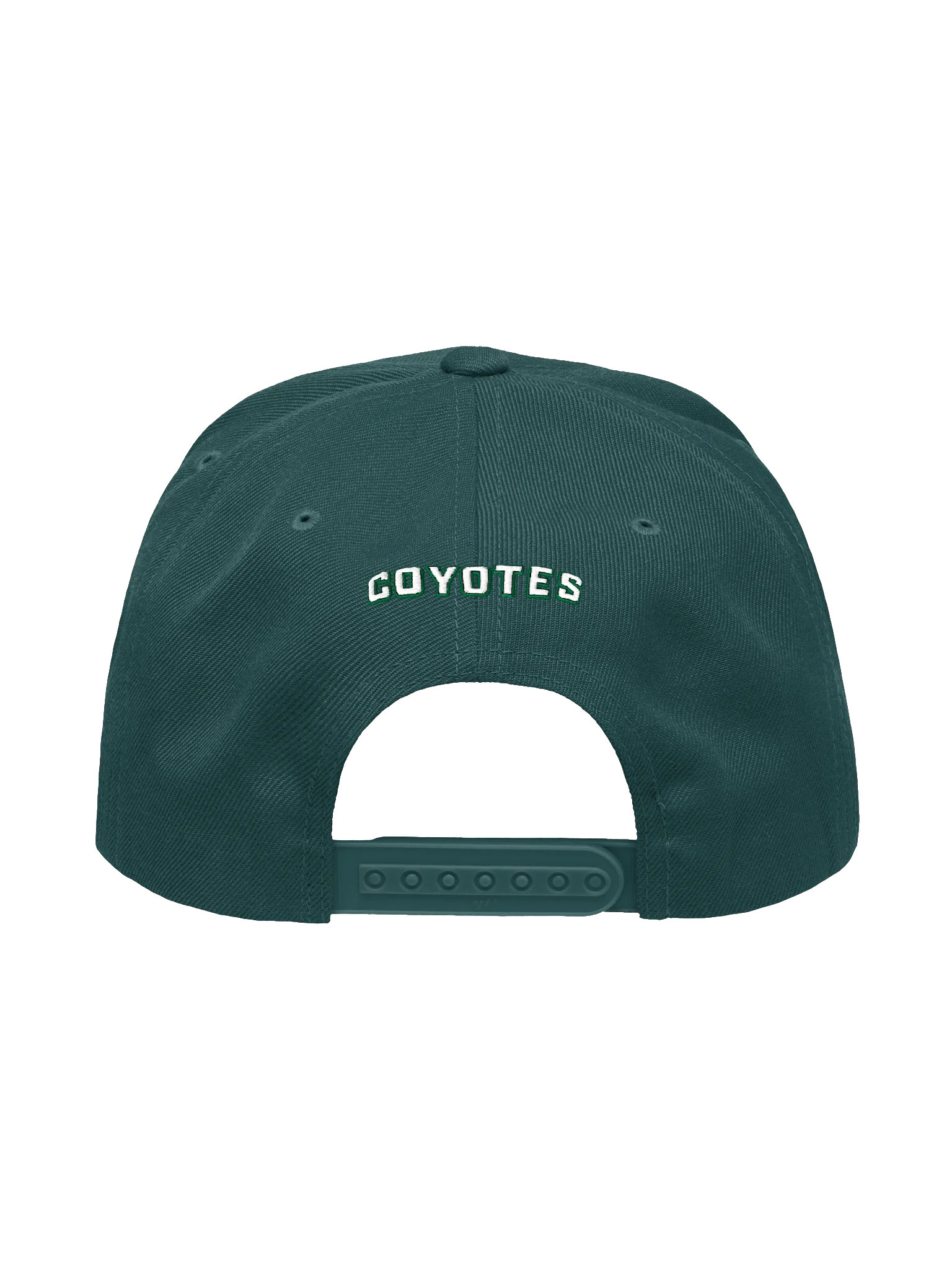 Fierce Wolf Logo Snapback Cap product image (11)