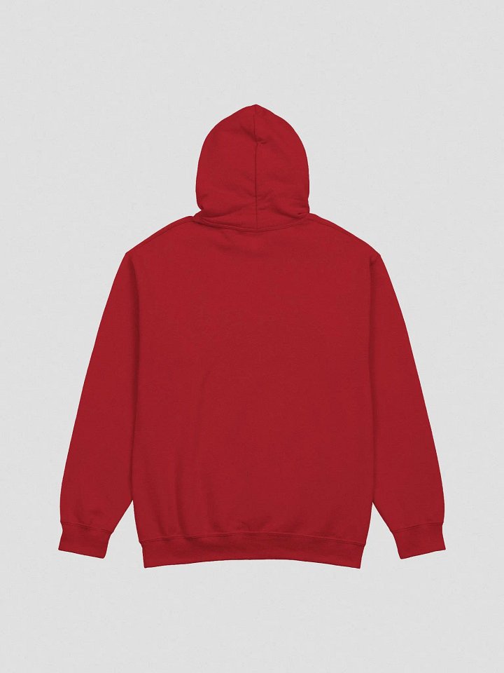 RY SOCIETY BOX - HOODIE (UNISEX) product image (12)