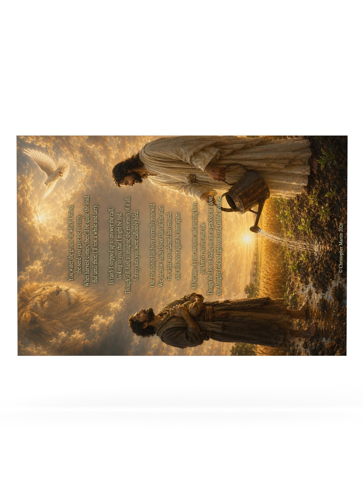 Abundant provision product image (6)